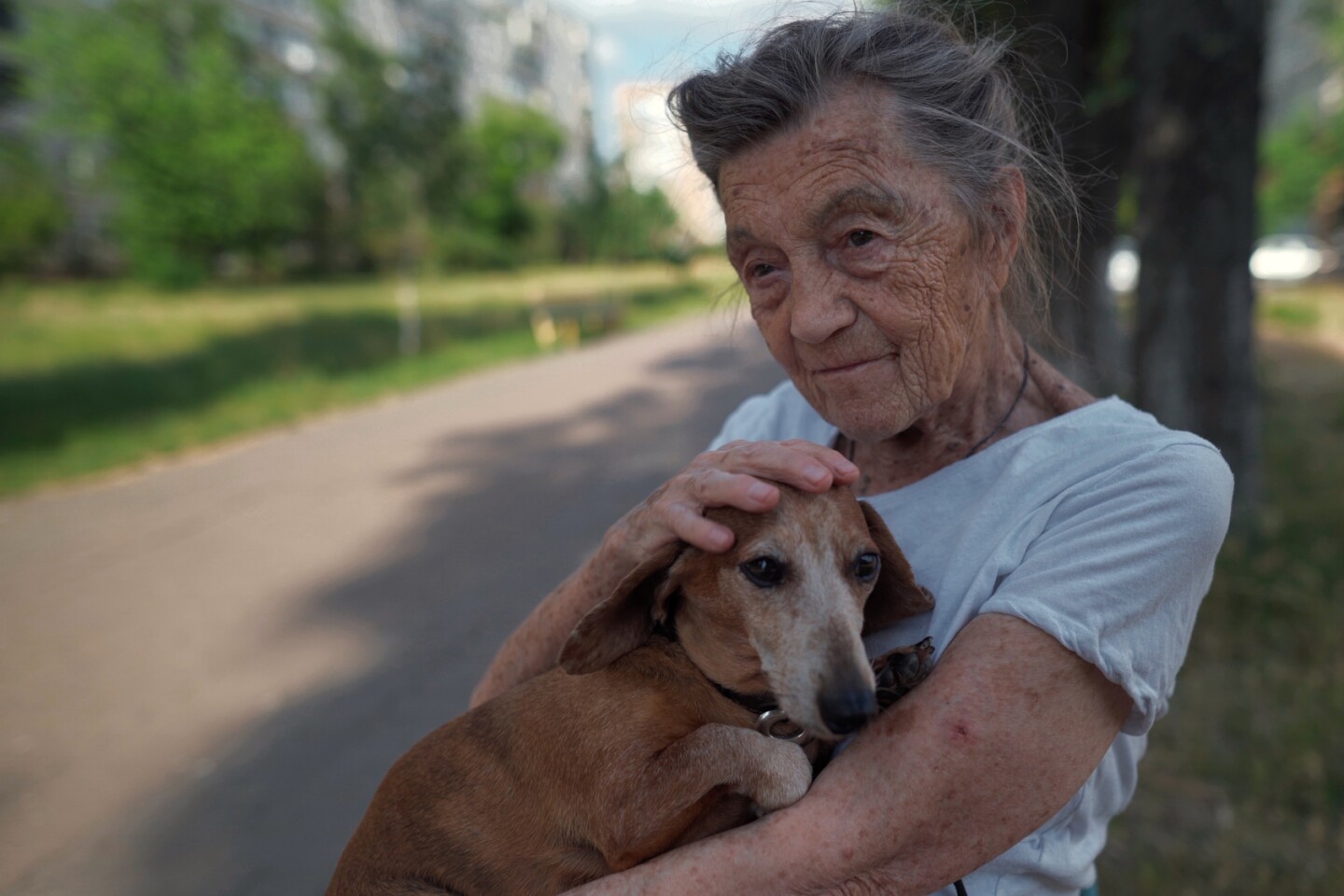 A study has found an association between pet ownership by older adults living alone and slower cognitive decline