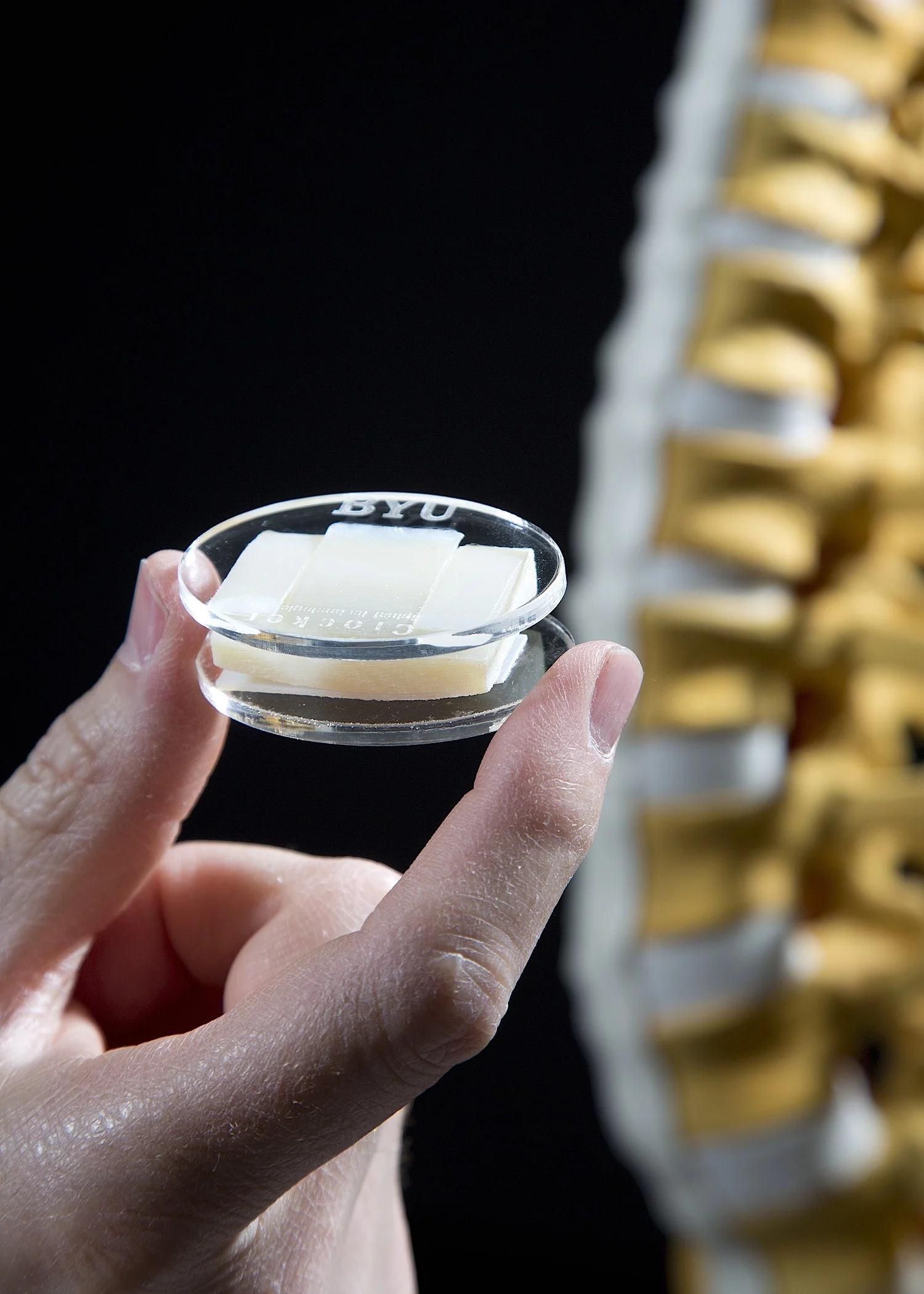 A prototype of the BYU artificial spine disc replacement