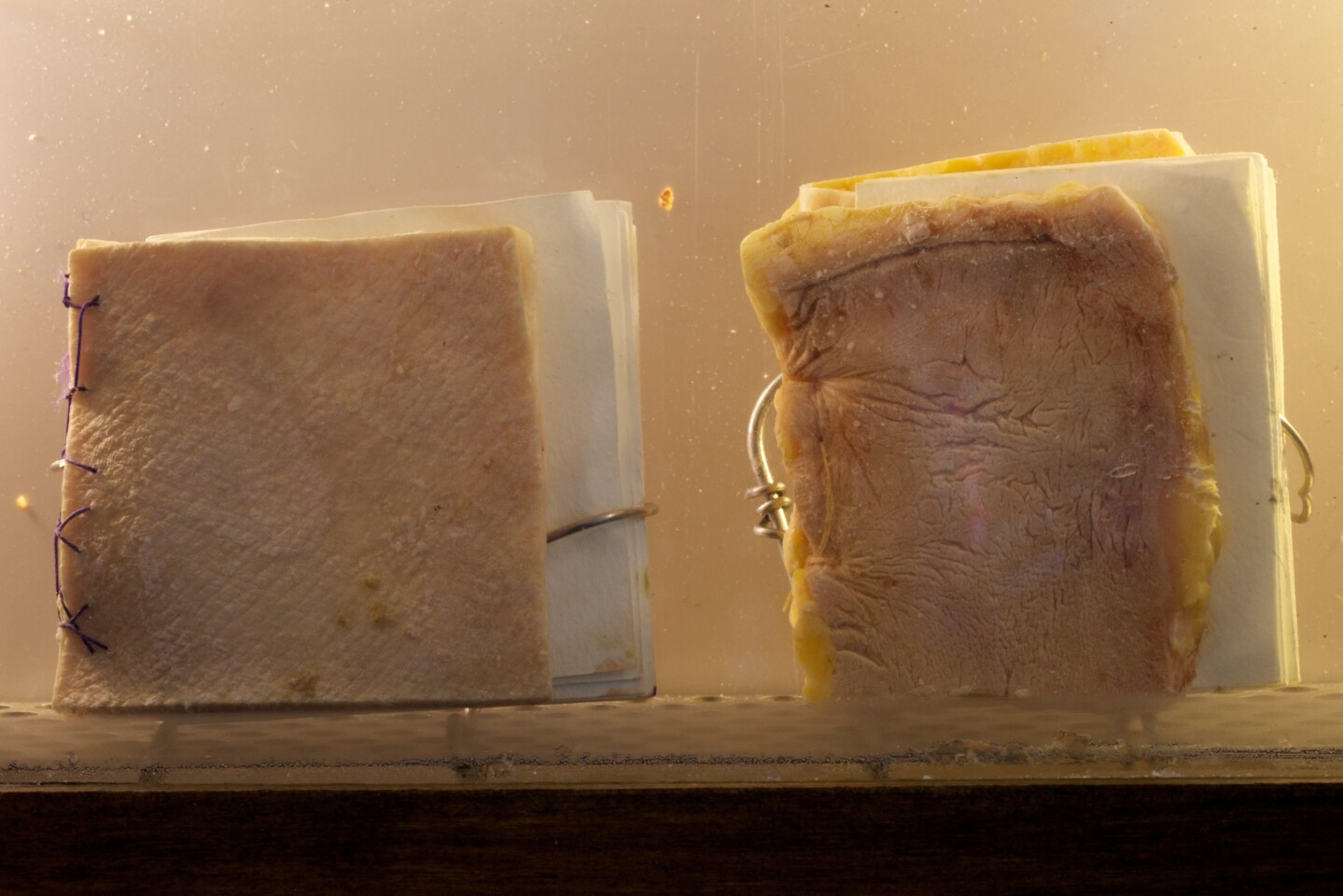 Some of the books made from living skin in the Cryobook Archives