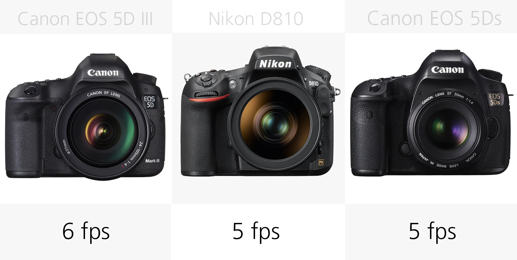 Full frame DSLR continuous shooting comparison Canon EOS 5D III, Nikon D810, Canon EOS 5Ds