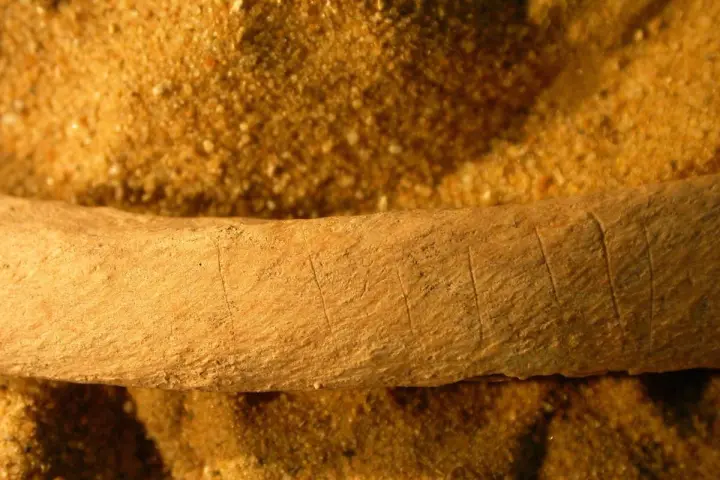 Archaeologists believe that medieval bones found with knife marks and evidence of being burned tell the tale of how the villagers of the time tried to defend themselves from the undead