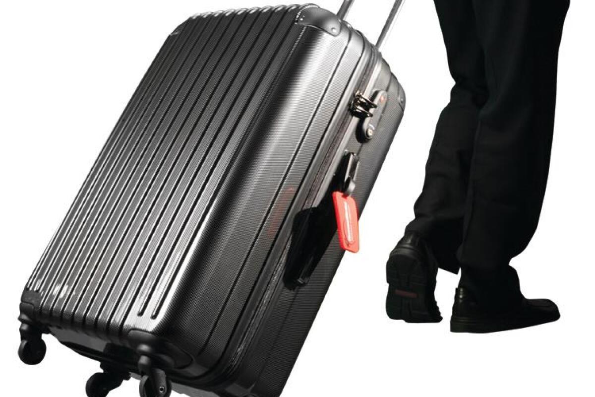 ThermalStrike luggage puts the heat on bed bugs