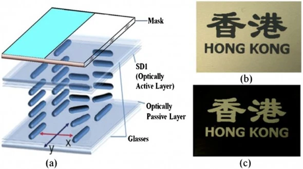 The prototype LCD requires no power to maintain an image and can display in 3D as well (Image: Abhishek Kumar Srivastava)