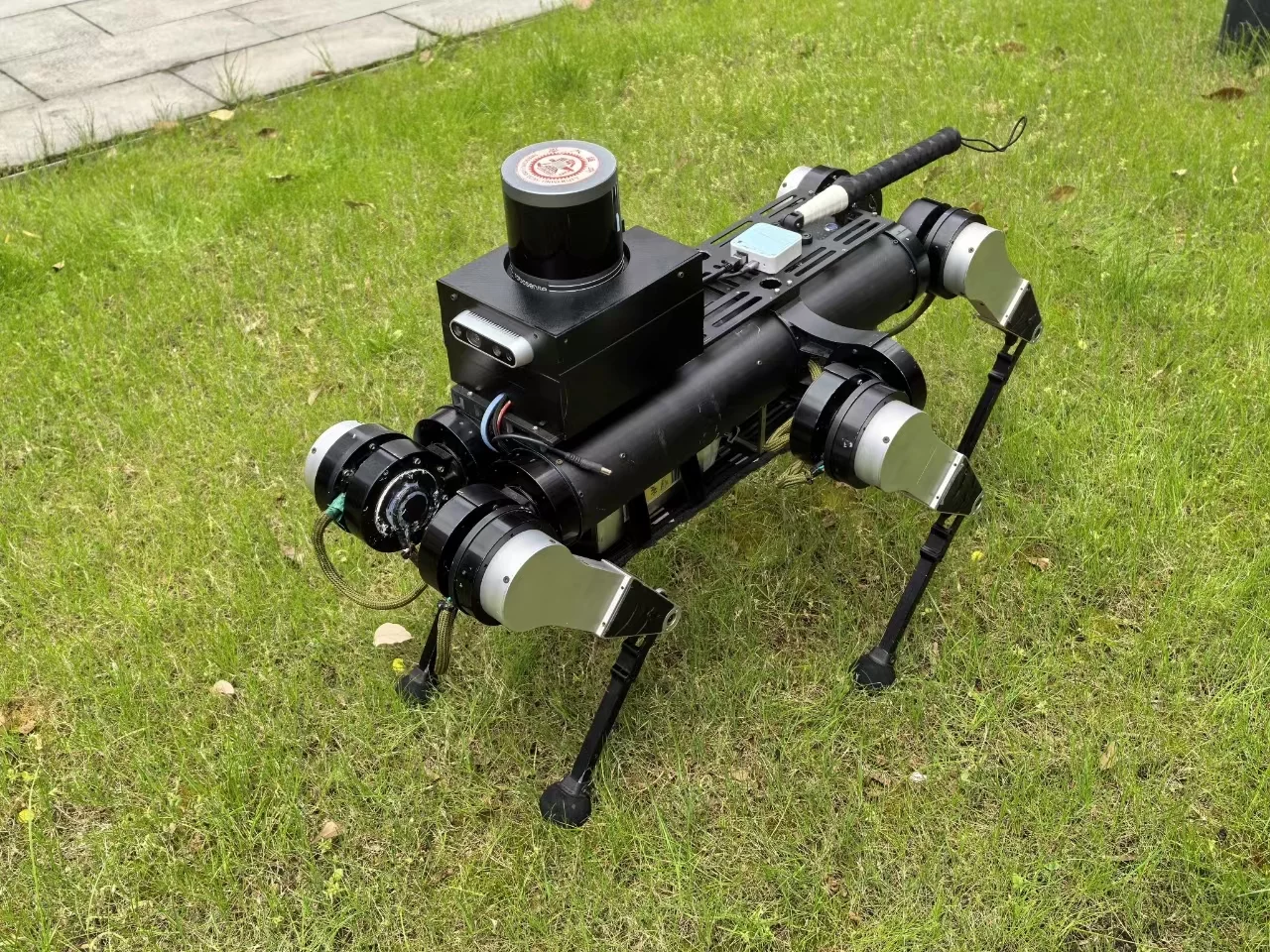 The six-legged guide dog is aimed at addressing a shortfall of real service dogs in China