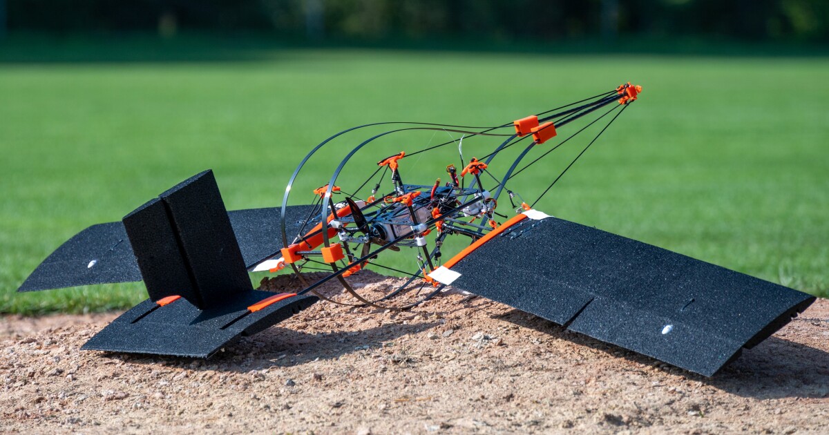 Crash-proof drone design inspired by woodpeckers