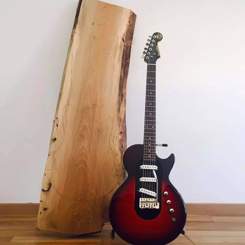 A Les Paul body shape with a single coil pickup trio and tremolo bridge? That will be a Revolution guitar