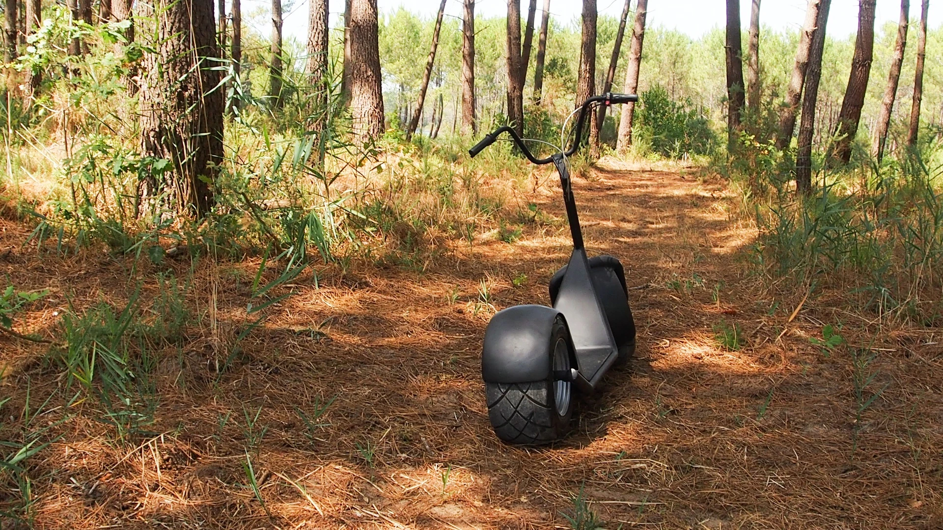 The basic eGroov comes as a stand-atop scooter