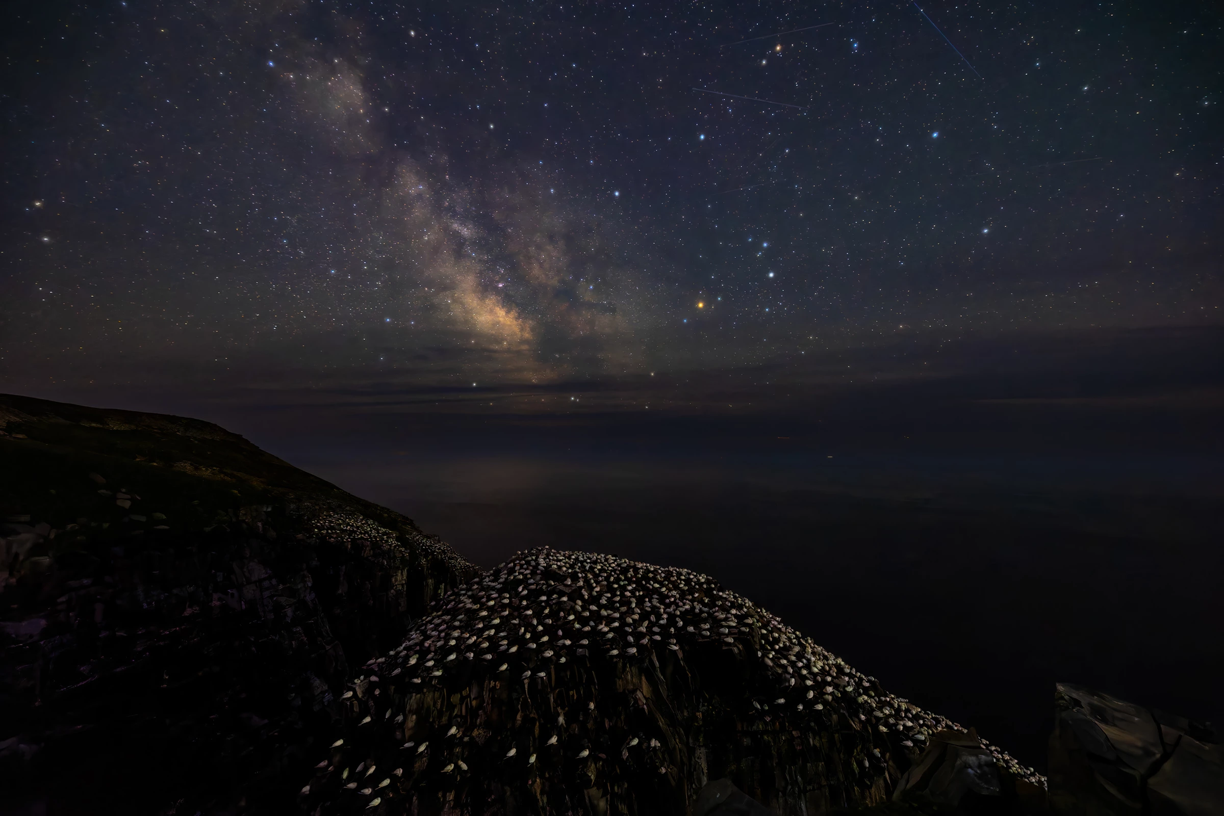 2025 Birds in Landscapes Winner, United States and Canada: Northern gannets (Morus bassanus) by Joe Subolefsky (Maryland, US)