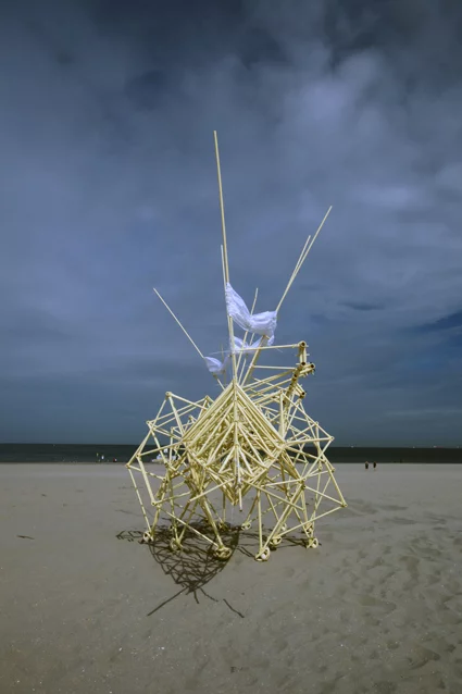 A close up of the Animaris Adulari (Photo: Theo Jansen)