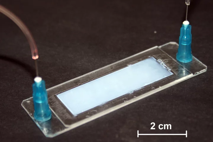 Researchers have created a microreactor that purifies water utilizing sunlight and microfluidics