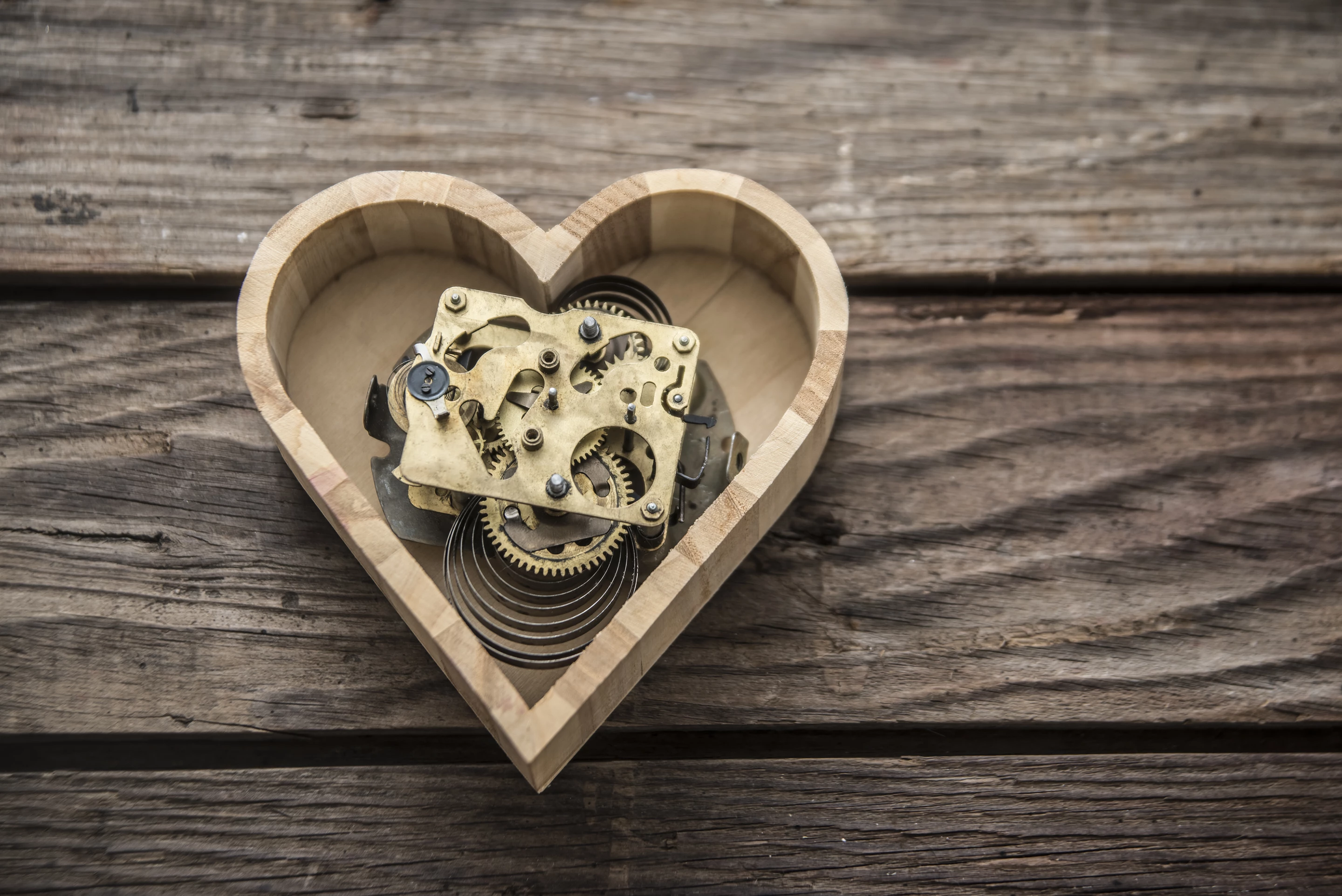 The research reveals every heart cell has an internal clock helping the heart turn its activity up and down over the course of a 24-hour cycle