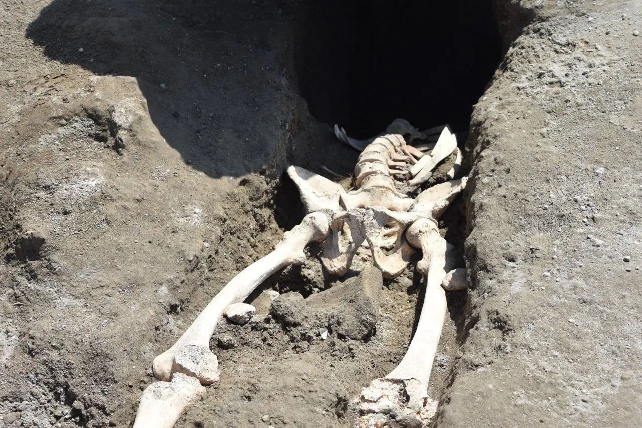 The newly-discovered skeleton has quite a story to tell
