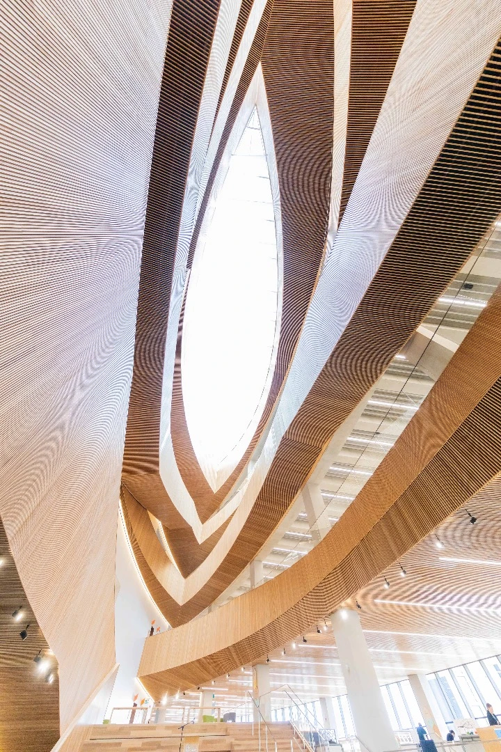 Calgary Central Library's main atrium is topped by a decorative oculus