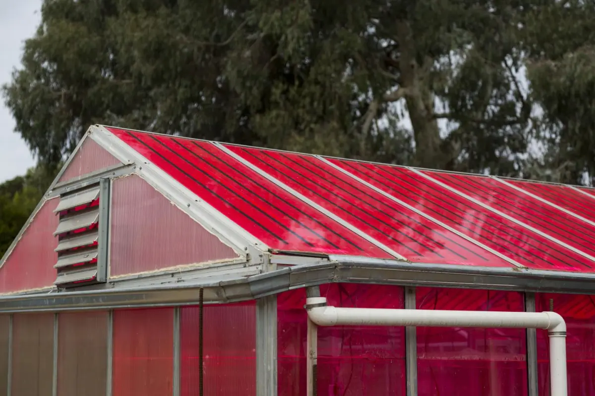 The WSPVs technology reportedly didn't interfere with plant growth or production
