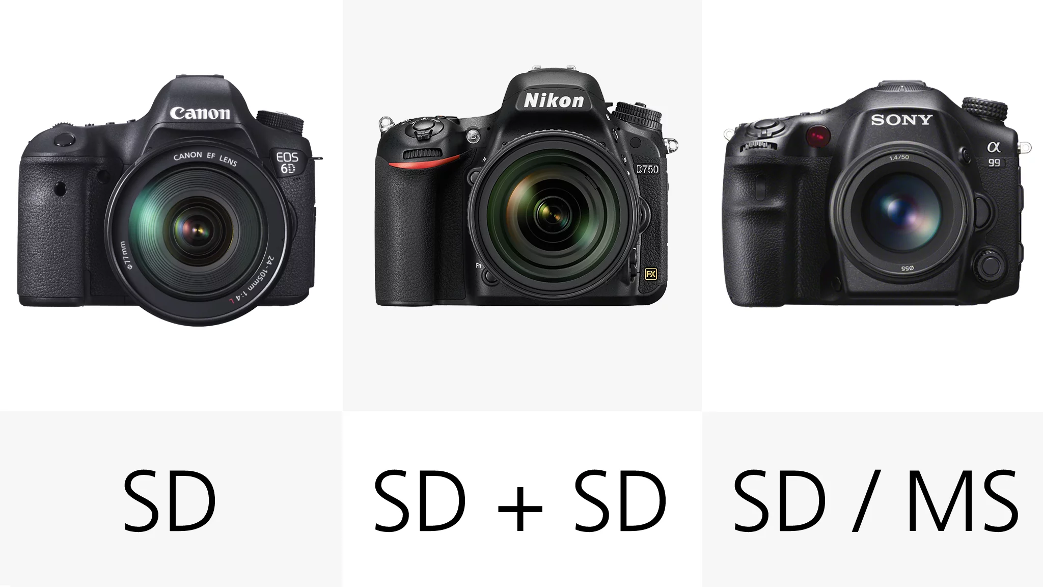 The Nikon D750 has dual SD memory card slotsThe Nikon D810 and Canon 5D M3 can both use SD and CompactFlash memory cards