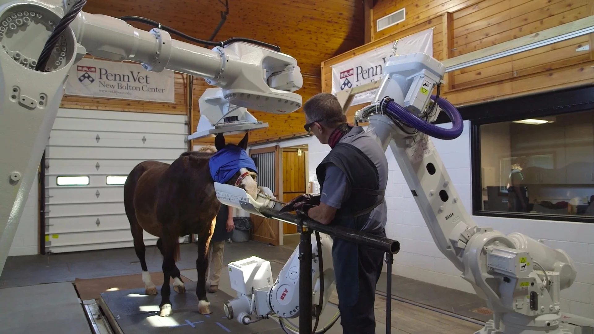 The technology could allow doctors to spot dangerous injuries before they have a chance to endanger the life of horse or rider on the racecourse