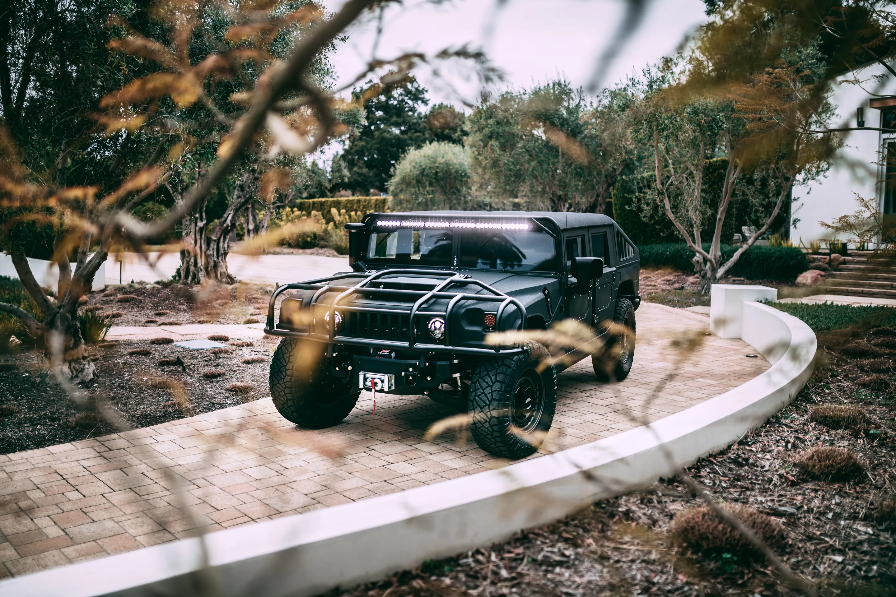 I'm sorry, giant H1, you can't hide behind twigs