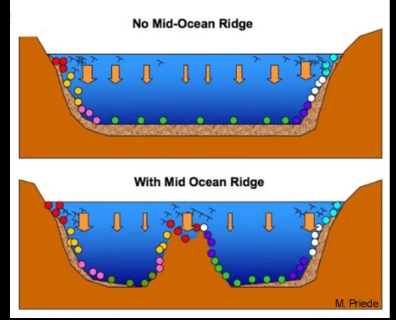 How ocean topography affects the food availability and abundance of marine life (Image Monty Preide).