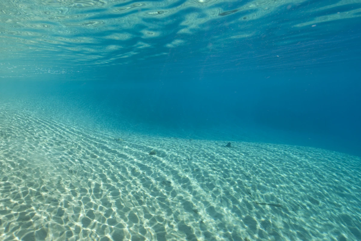 Scientists have successfully used gallium indium phosphide solar cells to generate electricity underwater (Photo via Shutterstock)