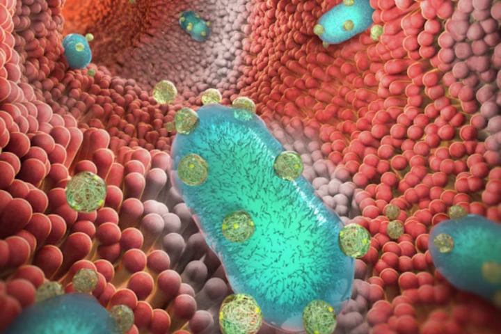 An artist's impression of probiotic bacteria wearing nanoparticle "backpacks" to help them fight inflammatory bowel diseases