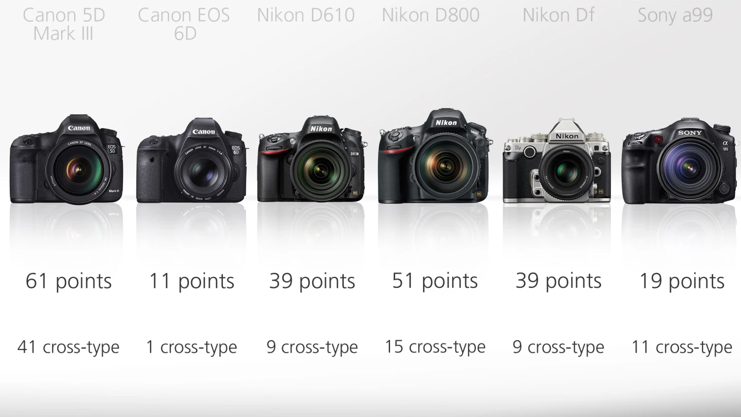 It's the Canon 5D III and the Nikon D800 which have the best autofocus systems of the bunch