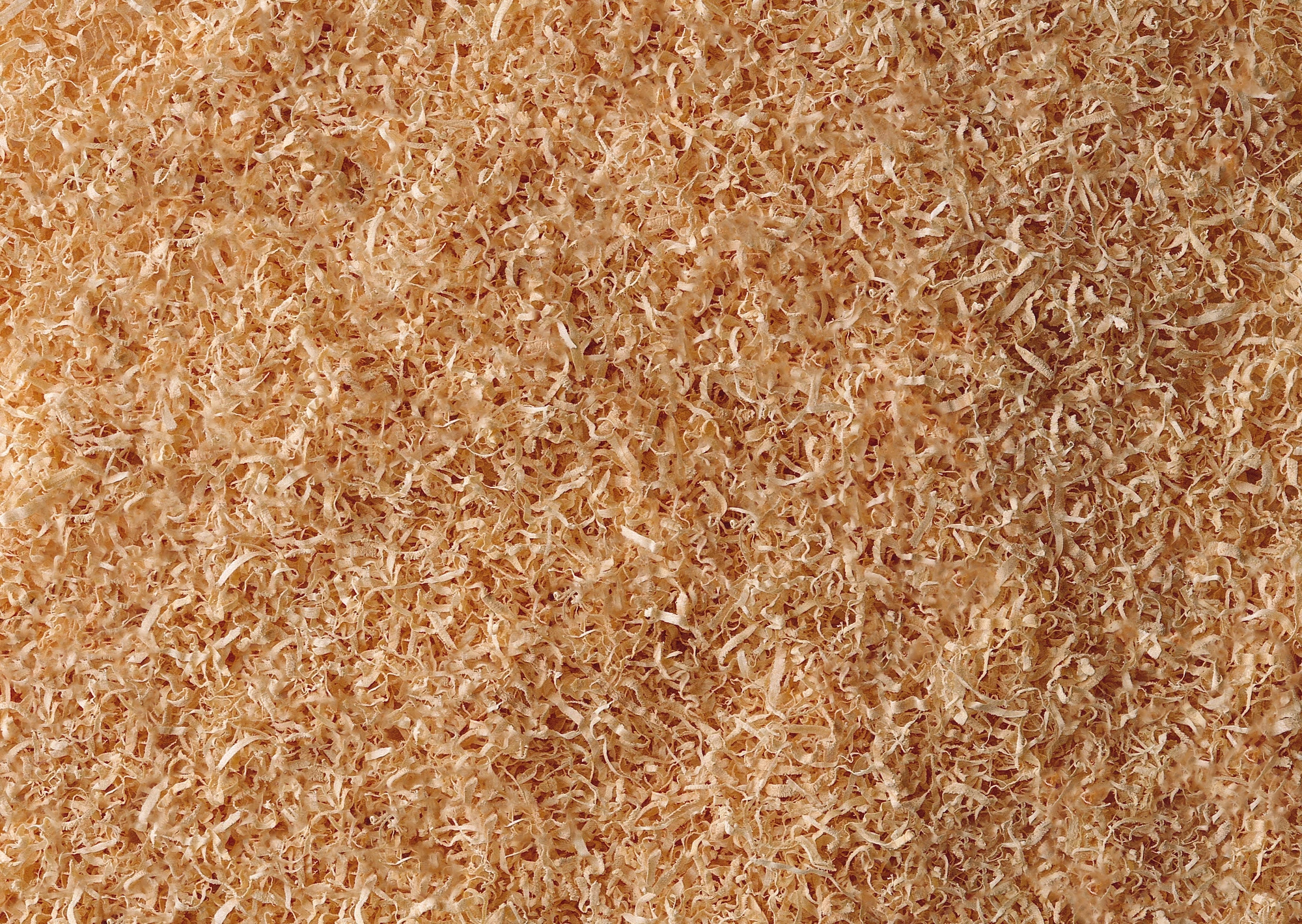 Scientists have used waste products from a lumber mill to produce an environmentally friendly bioplastic