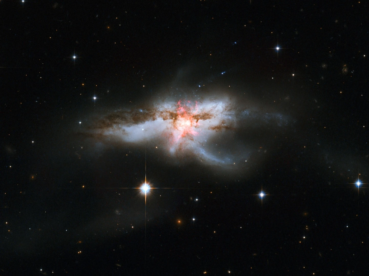 NGC 6240 lies 400 million light-years away in the constellation of Ophiuchus (The Serpent Holder). This galaxy has an elongated shape with branching wisps, loops and tails. This mess of gas, dust and stars bears more than a passing resemblance to a butterfly