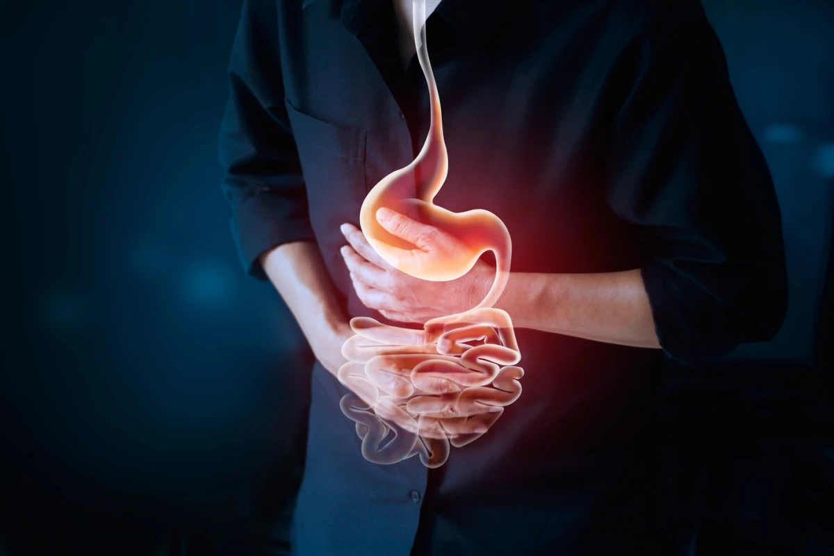 A new study has established a genetic link between Alzheimer's and gut disorders
