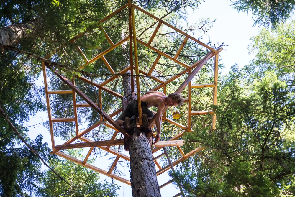 Schlussler in action while building of his treehouse (Photo: Ethan Schlussler)