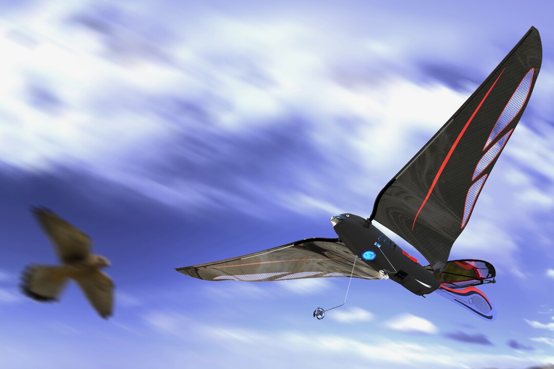 Flapping-wing robo-bird uses two tails to fly fast or slow