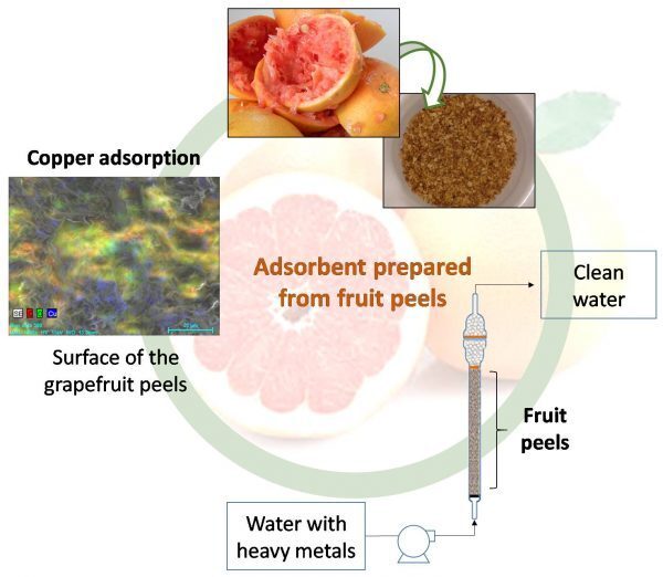 A diagram of the process
