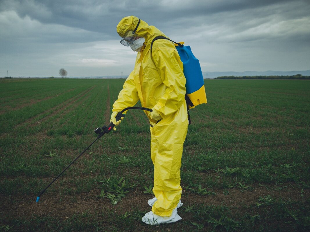 Toxic weed killer's Parkinson's link may not be what it seems