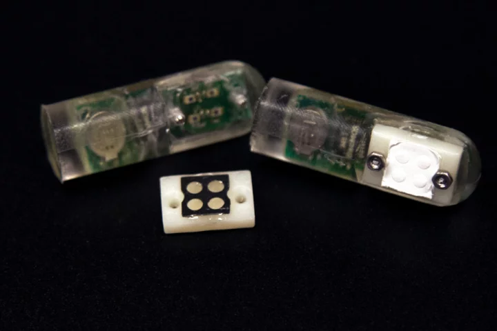 Bacteria engineered to detect specific molecules are placed in four wells on the custom-designed sensor, which is attached to a microprocessor that converts the sensory information to a wireless signal