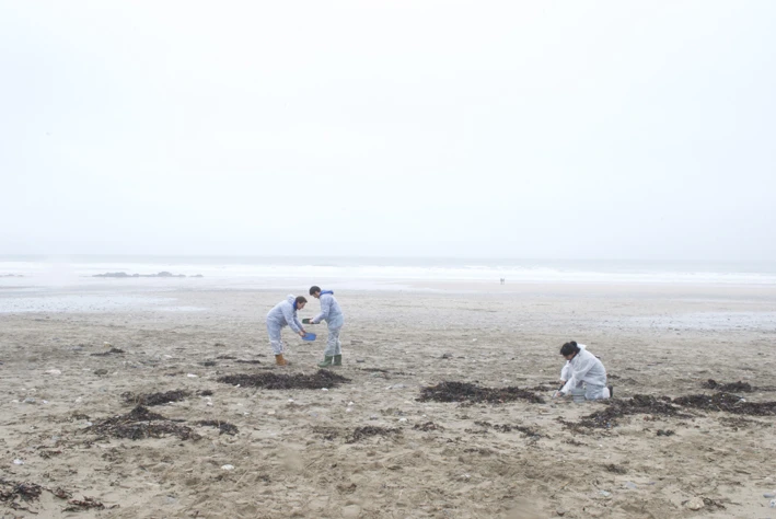 Collecting beached nurdles for chair production
