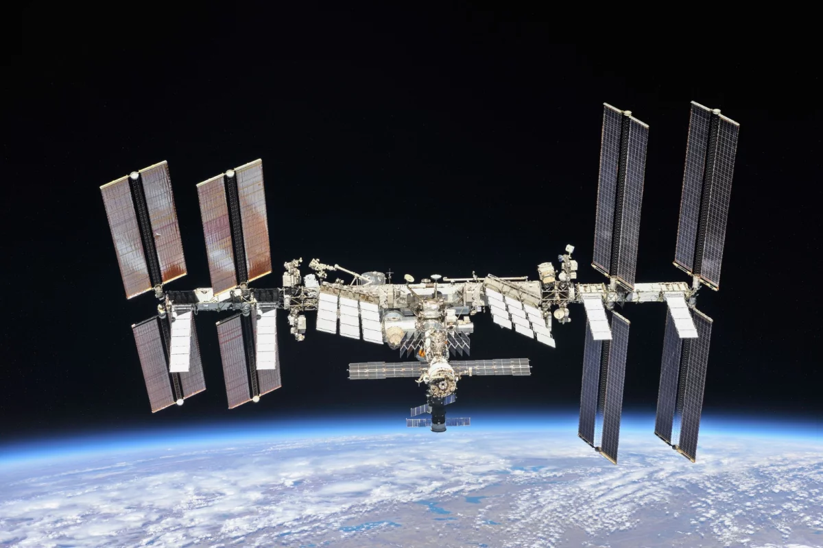So called ""Mighty Mice" were among a group of rodents who enjoyed a 33-day stay aboard the International Space Station
