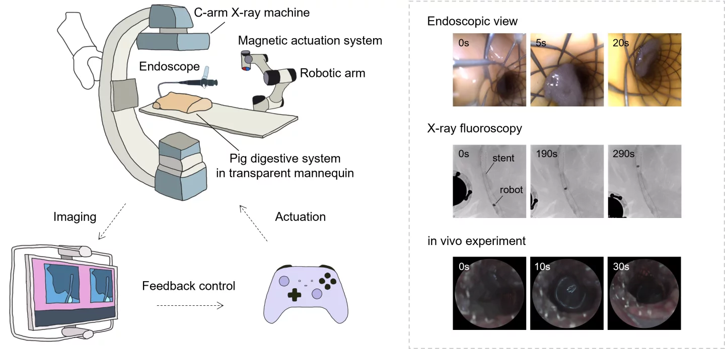 This diagram illustrates how the robots are remotely controlled by human operators