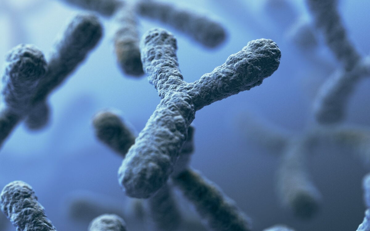 Y chromosome loss could be the first sign of cancer