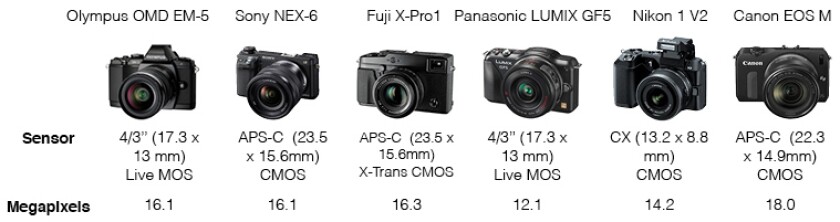 Mirrorless camera comparison - Sensor