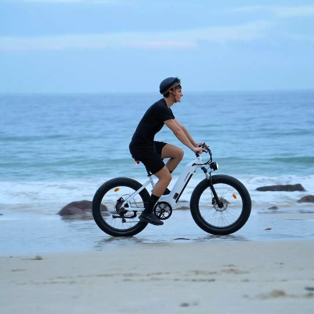 Relatively low ticket price, low-step frame to accommodate a broader range of riders and chunky fat tires to grip "beaches, snow, gravel, rain, mud, sand, and even ice"