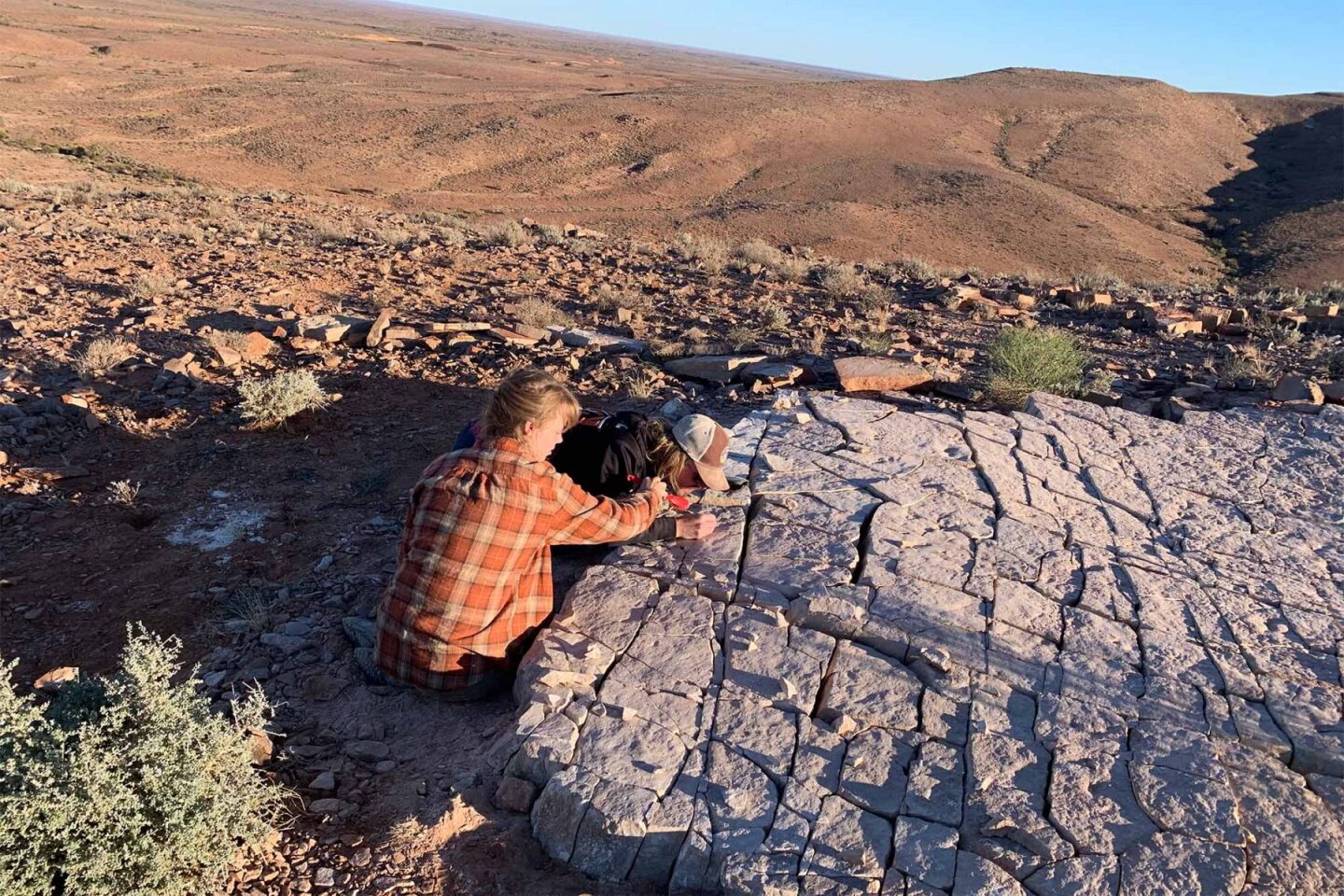 Georgia Institute of Technology graduate student Emily Hughes and Harvard University graduate student Ian Hughes use a dental pick to carefully remove dirt from a rock slab