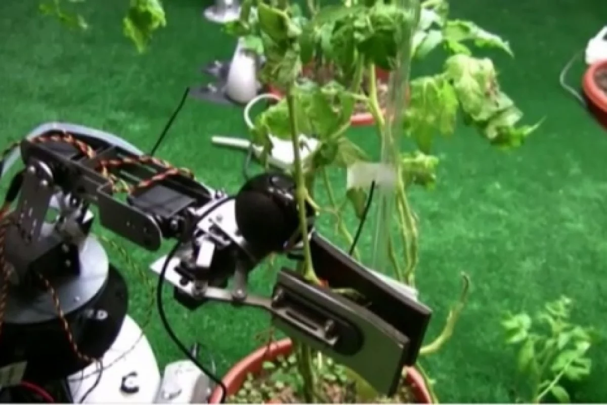 Picking fruit 21st century style