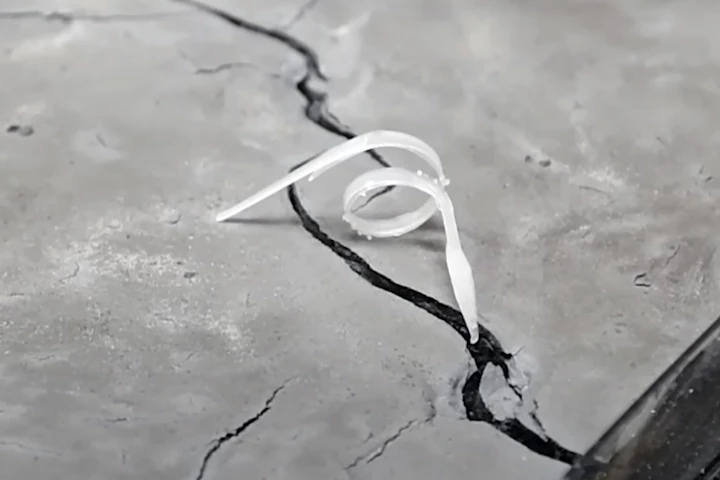 Italian researchers have created the first 4D-printed biomimetic, biodegradable soft robot that changes shape in response to humidity