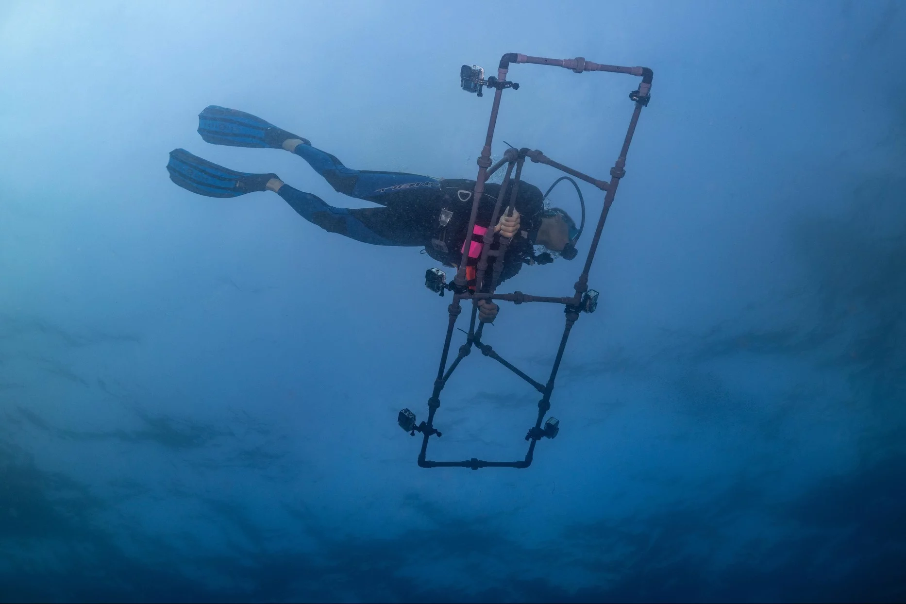 A DeepReefMap-using scientist with a six-camera setup – the system does work with even just a single camera