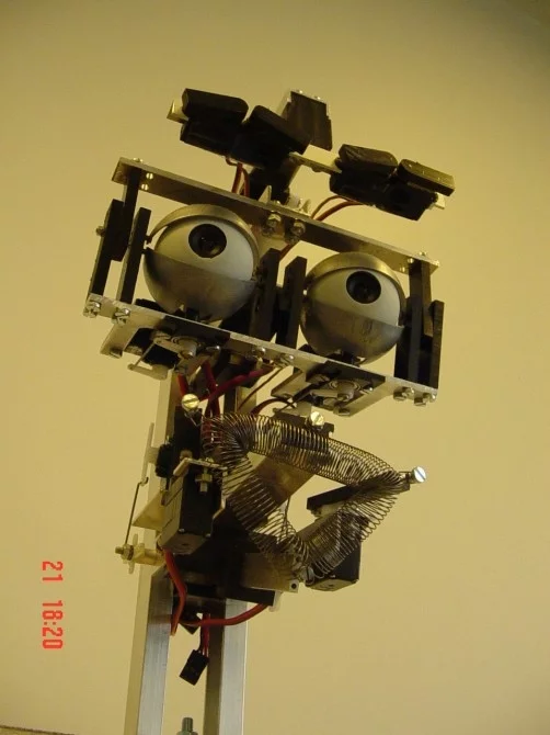 The FEELIX GROWING project is aiming to provide robots with a working knowledge of human body language.