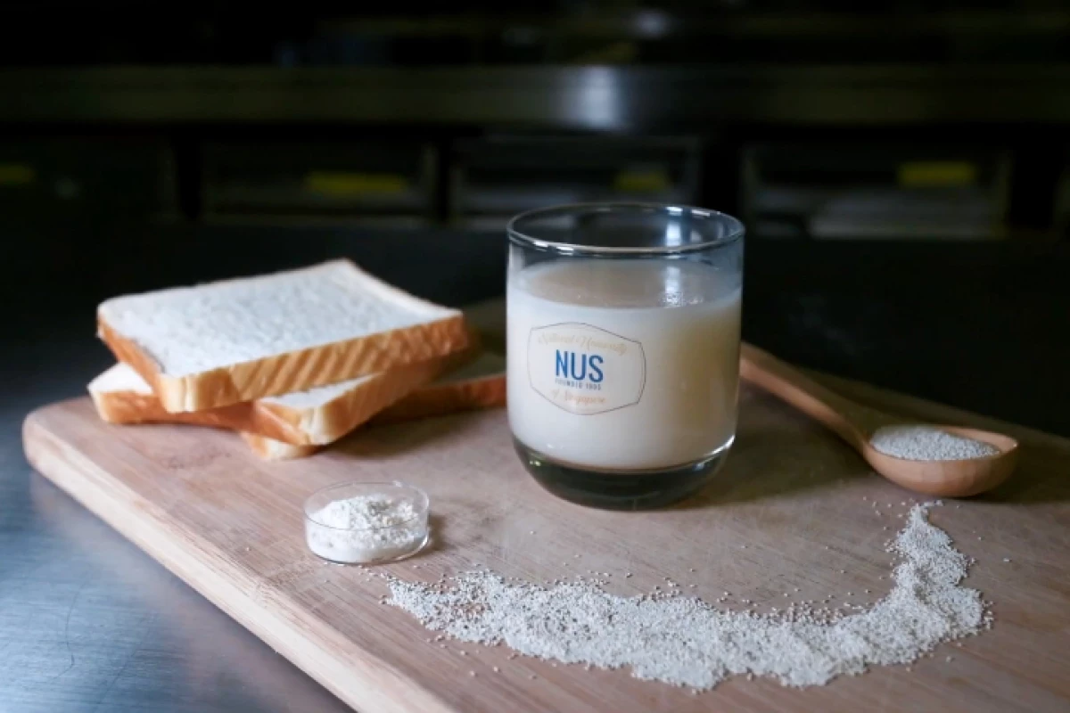 Although various types of bread were tested, the research focused on white bread due to its wide availability