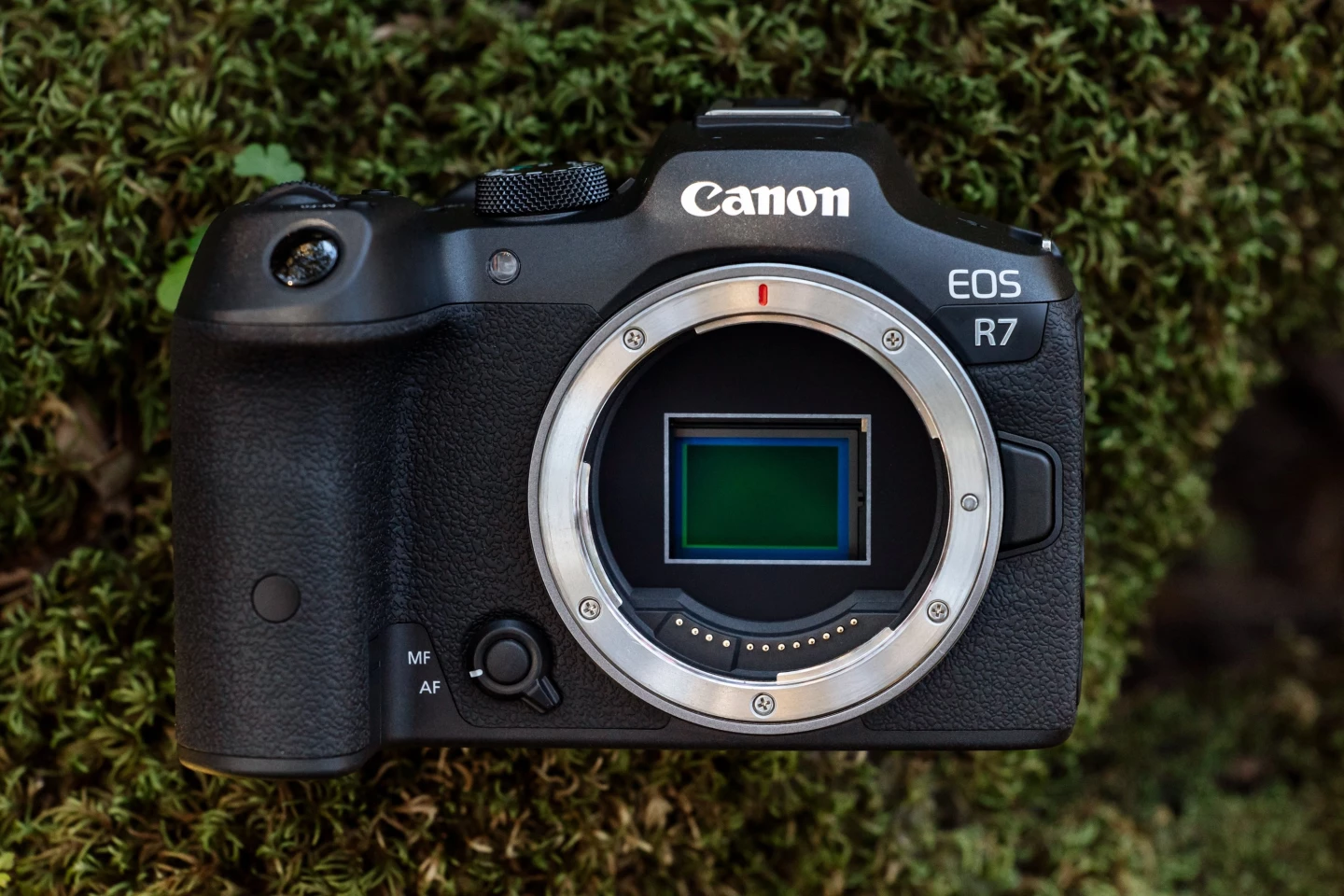 The EOS R7 is built around a newly developed 32.5-MP APS-C image sensor