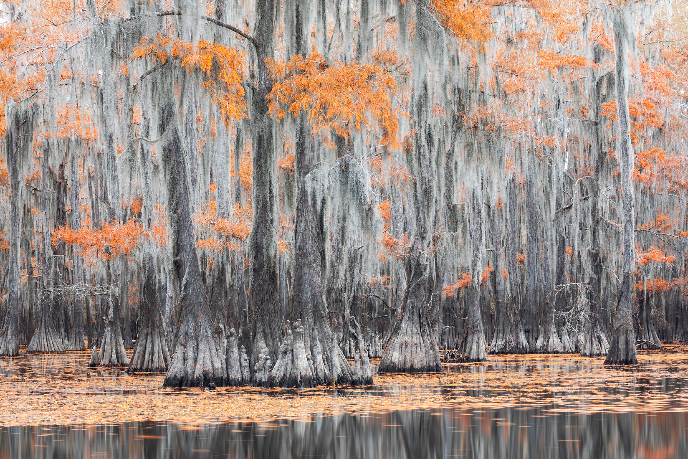 The Professionals Shine In 2020 Sony World Photography Award Finalists the-professionals-shine-in-2020-sony-world-photography-award-finalists