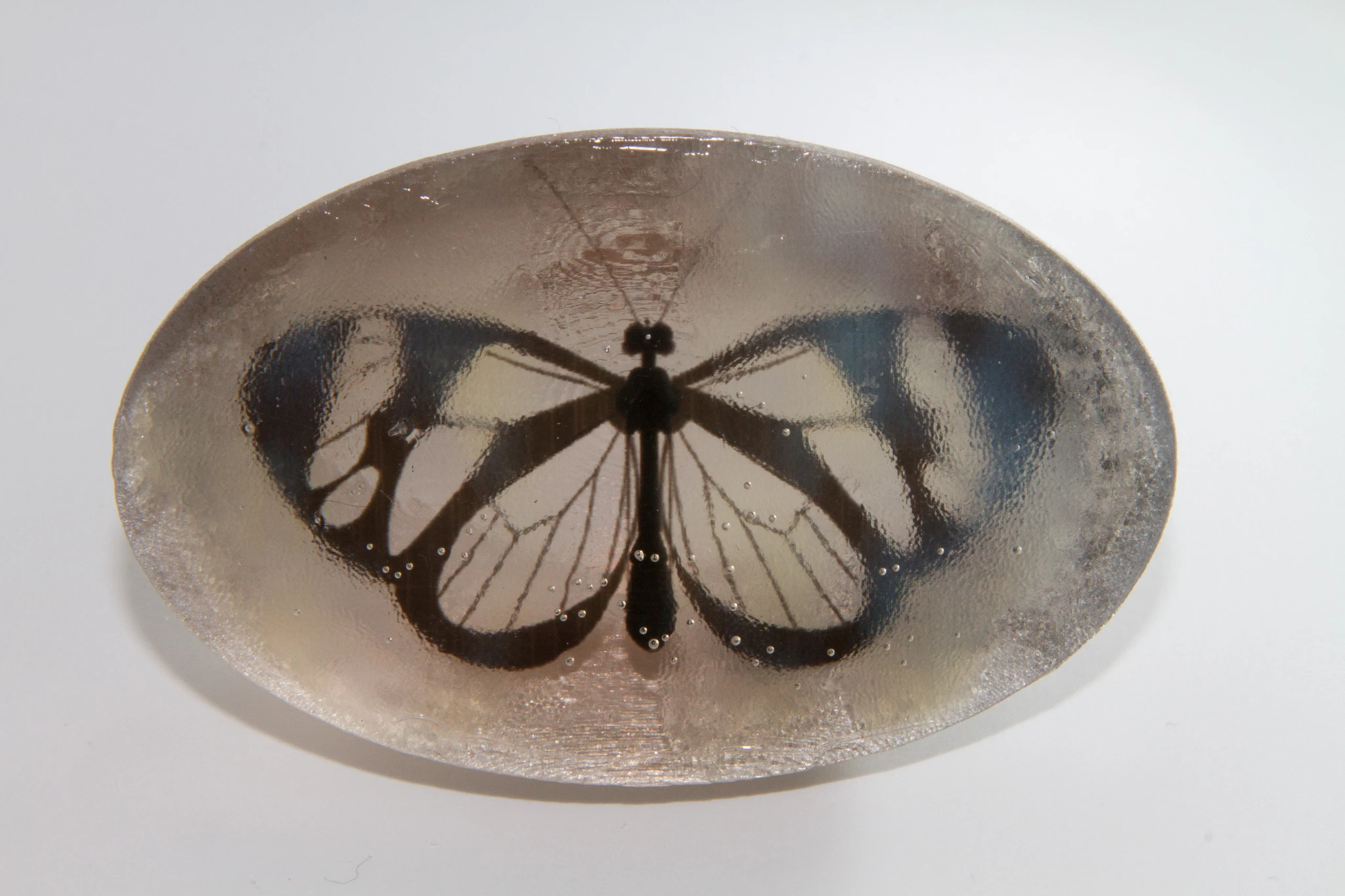 A butterfly embedded in cloudy amber (Photo: MIT Computational Fabrication Group)