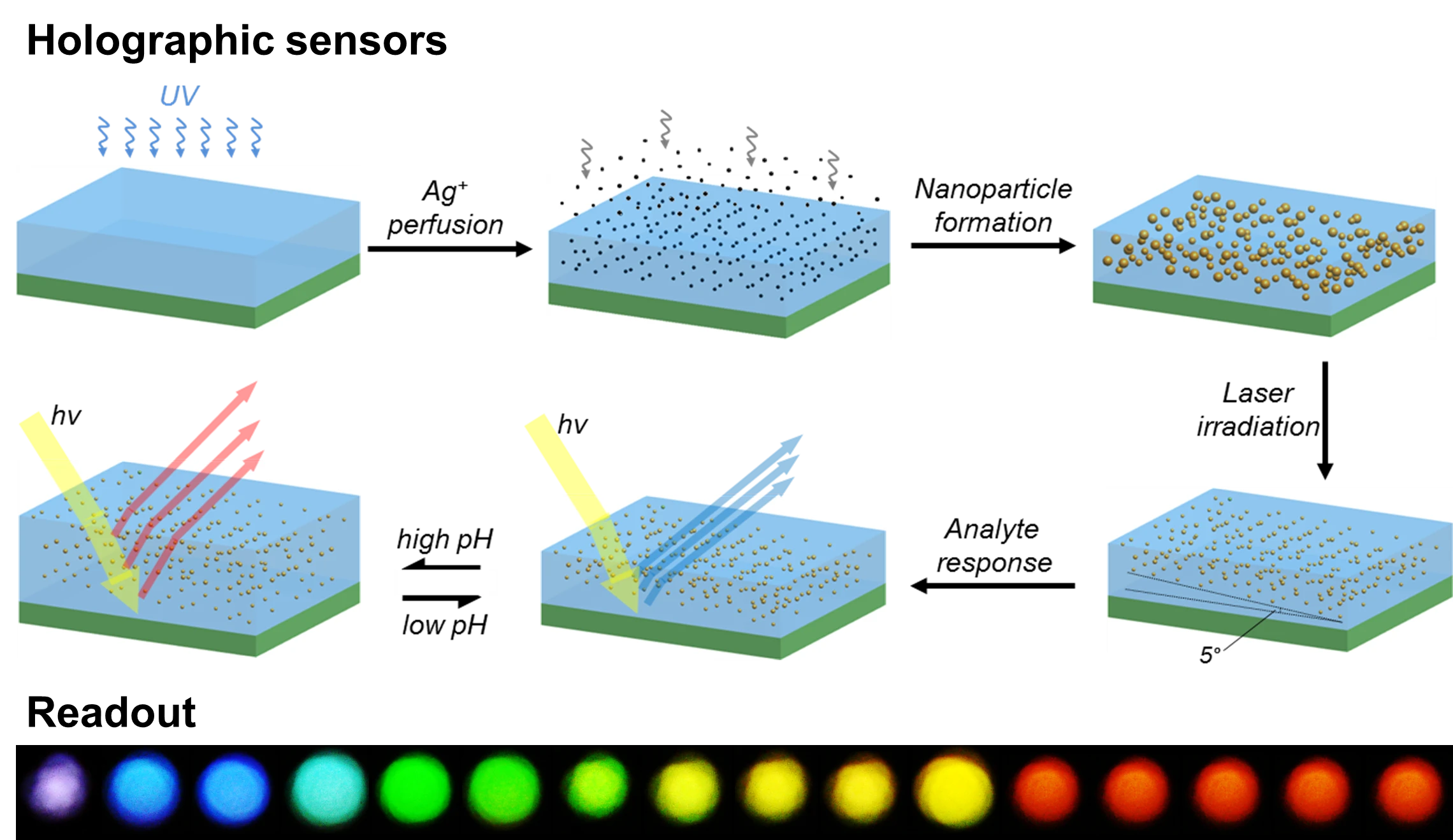 Holographic sensors that change color in response to a specific analyte (Image: Advanced Optical Materials (2014))