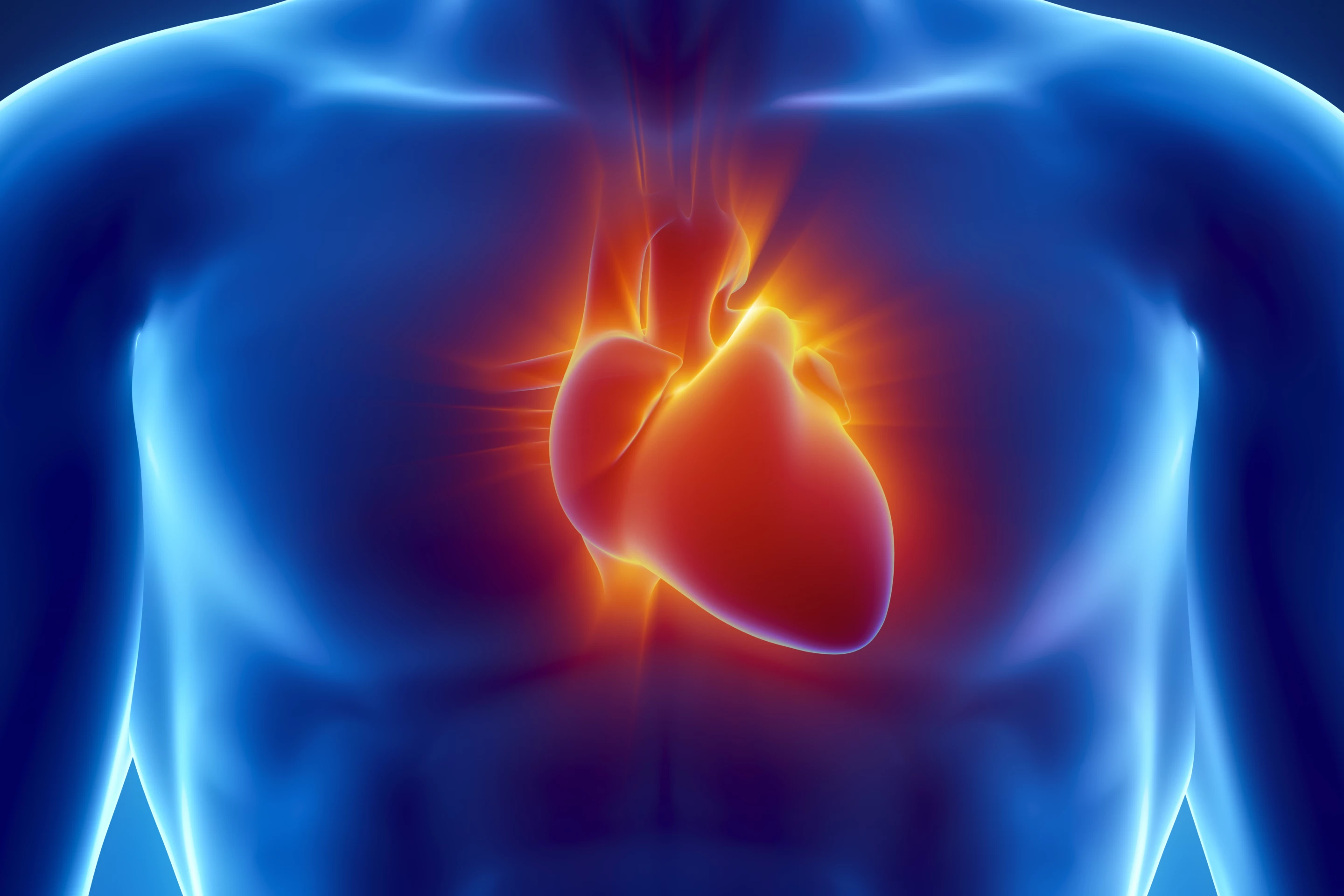 Tropoelastin injections have been shown to cause cardiac scar tissue to function like undamaged cardiac tissue